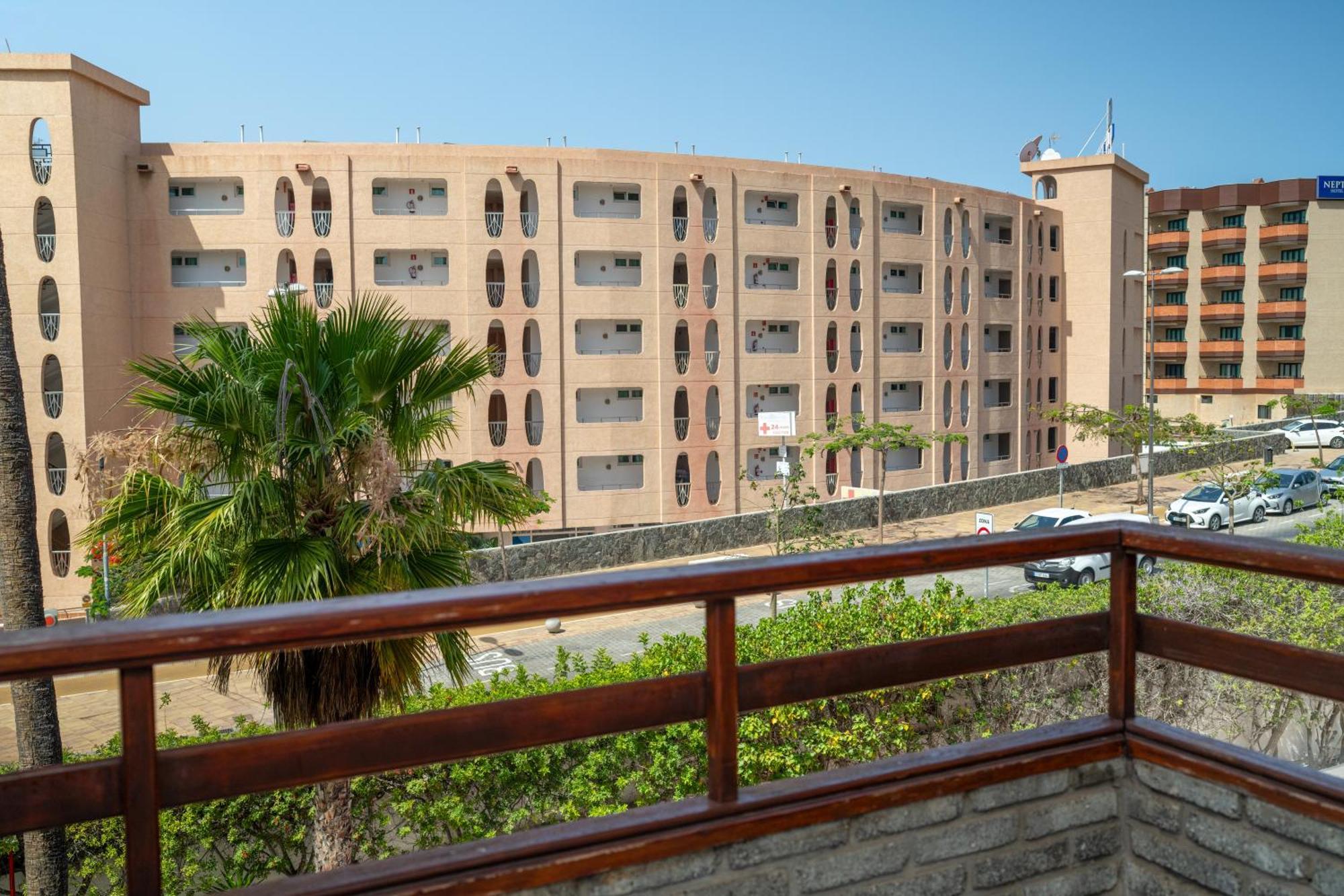 Gacelas,playa Maspalomas (Gran Canaria)